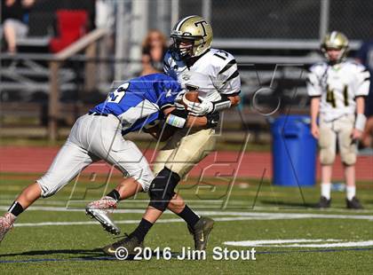 Thumbnail 3 in Trumbull @ Ludlowe photogallery.