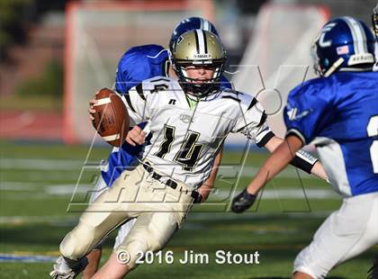 Thumbnail 3 in Trumbull @ Ludlowe photogallery.