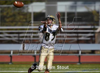 Thumbnail 1 in Trumbull @ Ludlowe photogallery.