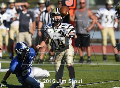 Thumbnail 1 in Trumbull @ Ludlowe photogallery.
