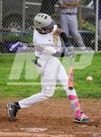 Photo from the gallery "Hoover @ Muir"