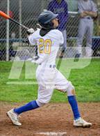 Photo from the gallery "Hoover @ Muir"