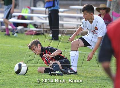 Thumbnail 1 in Bella Vista @ Jesuit photogallery.