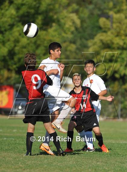 Thumbnail 1 in Bella Vista @ Jesuit photogallery.