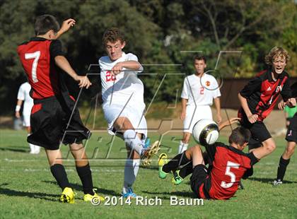 Thumbnail 1 in Bella Vista @ Jesuit photogallery.