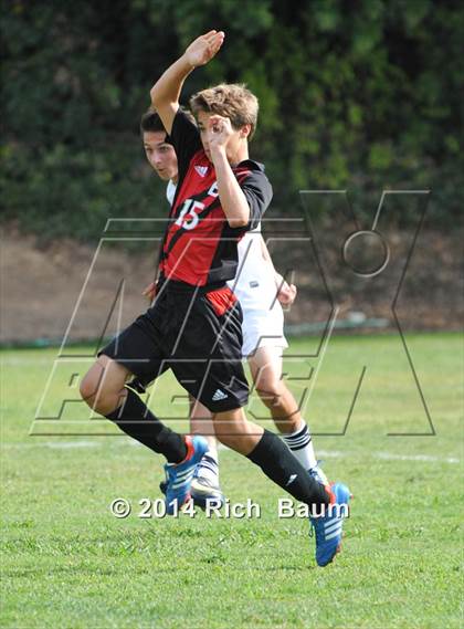 Thumbnail 3 in Bella Vista @ Jesuit photogallery.