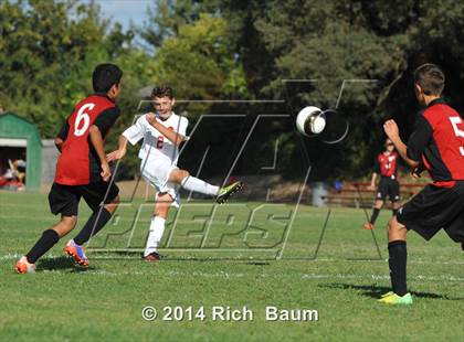 Thumbnail 1 in Bella Vista @ Jesuit photogallery.