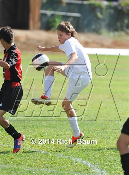 Thumbnail 1 in Bella Vista @ Jesuit photogallery.
