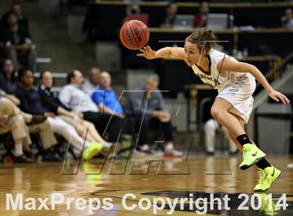 Thumbnail 1 in Fossil Ridge vs. Grandview (CHSAA 5A Semifinal) photogallery.