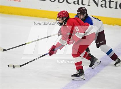 Thumbnail 1 in BBD [Brookfield/Bethel/Danbury] vs. Conard (CIAC DIII Final) photogallery.