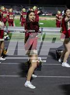 Photo from the gallery "Osbourn Park @ Unity Reed"