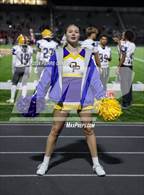Photo from the gallery "Osbourn Park @ Unity Reed"