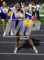 Photo from the gallery "Osbourn Park @ Unity Reed"