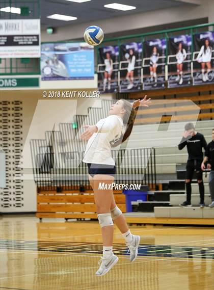 Thumbnail 1 in Dakota vs L'Anse Creuse North (MHSAA District Semifinal) photogallery.