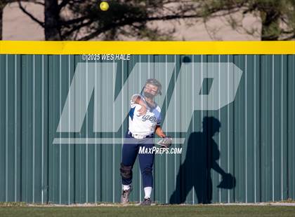 Thumbnail 2 in Dyersburg @ Arlington photogallery.