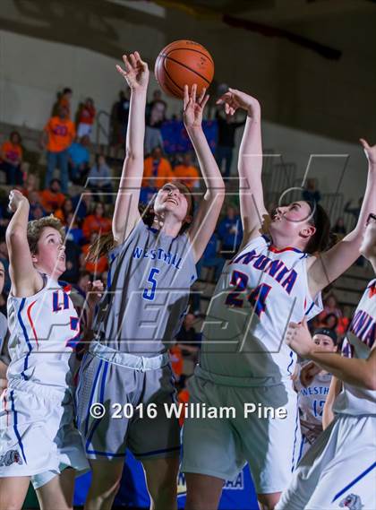 Thumbnail 1 in Livonia vs. Westhill (NYSPHSAA Class B Final) photogallery.
