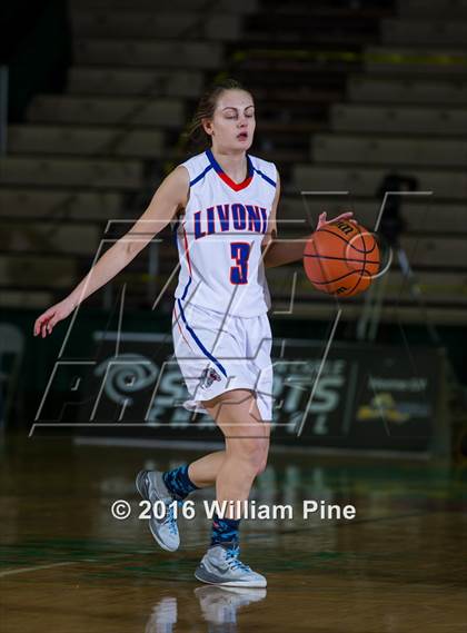 Thumbnail 3 in Livonia vs. Westhill (NYSPHSAA Class B Final) photogallery.