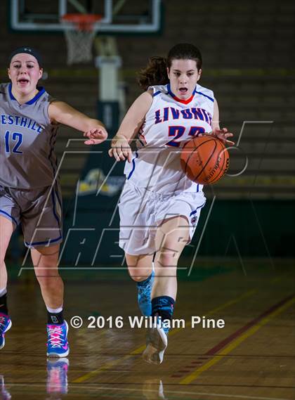 Thumbnail 3 in Livonia vs. Westhill (NYSPHSAA Class B Final) photogallery.
