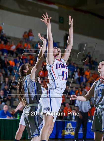 Thumbnail 2 in Livonia vs. Westhill (NYSPHSAA Class B Final) photogallery.