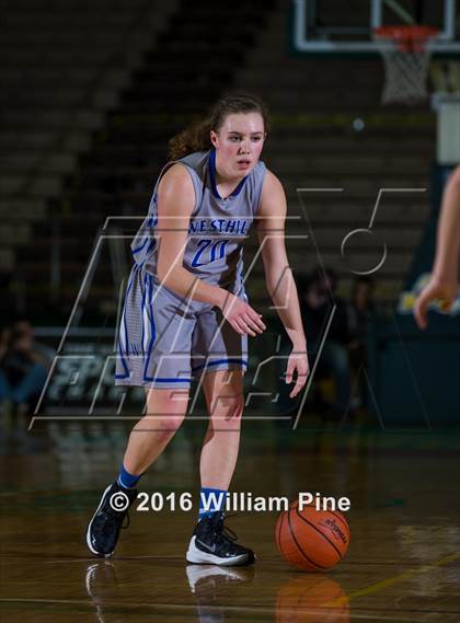 Thumbnail 3 in Livonia vs. Westhill (NYSPHSAA Class B Final) photogallery.