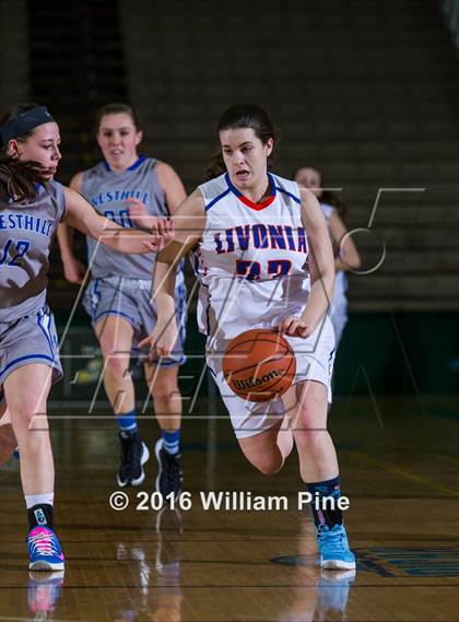 Thumbnail 3 in Livonia vs. Westhill (NYSPHSAA Class B Final) photogallery.