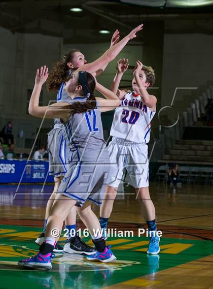 Thumbnail 1 in Livonia vs. Westhill (NYSPHSAA Class B Final) photogallery.