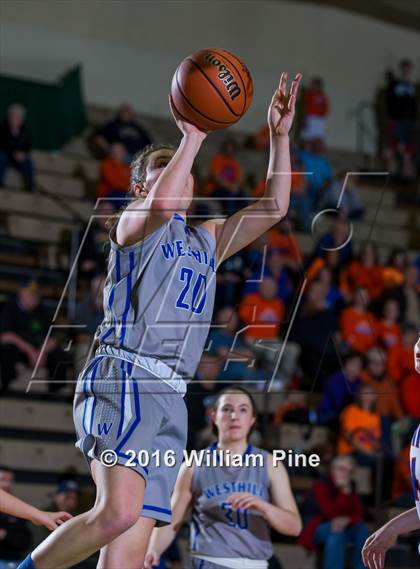 Thumbnail 3 in Livonia vs. Westhill (NYSPHSAA Class B Final) photogallery.