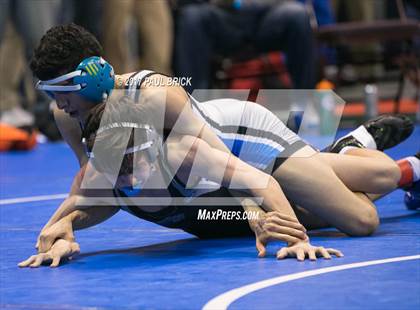 Thumbnail 3 in UIL Boys Wrestling Championships (Day 1) photogallery.