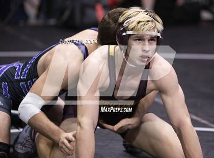 Thumbnail 1 in UIL Boys Wrestling Championships (Day 1) photogallery.