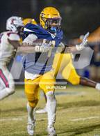 Photo from the gallery "Terry Sanford @ Cape Fear"