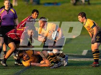 Thumbnail 2 in Weymouth @ Needham photogallery.