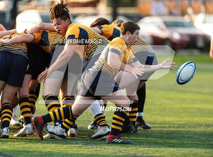 Thumbnail 3 in Weymouth @ Needham photogallery.