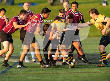 Thumbnail 2 in Weymouth @ Needham photogallery.