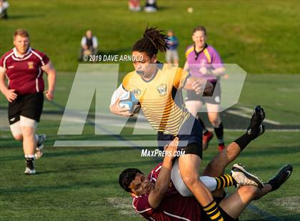 Thumbnail 3 in Weymouth @ Needham photogallery.