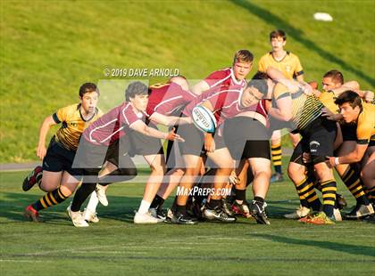 Thumbnail 1 in Weymouth @ Needham photogallery.