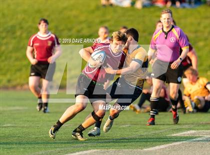 Thumbnail 2 in Weymouth @ Needham photogallery.