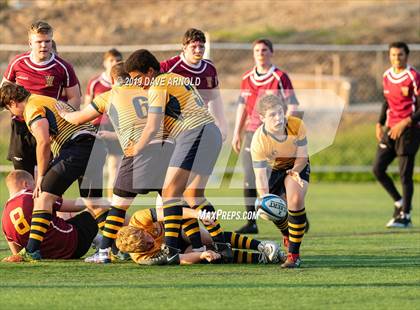 Thumbnail 2 in Weymouth @ Needham photogallery.
