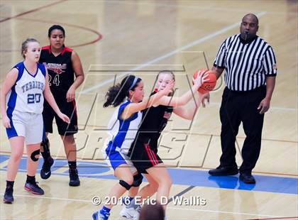 Thumbnail 2 in Westfield @ West Springfield photogallery.