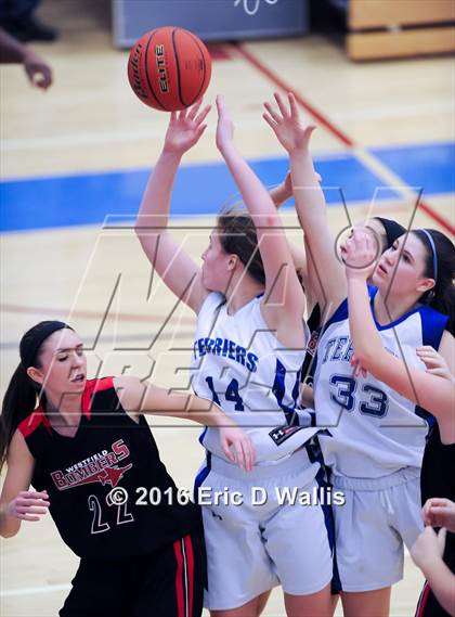 Thumbnail 3 in Westfield @ West Springfield photogallery.