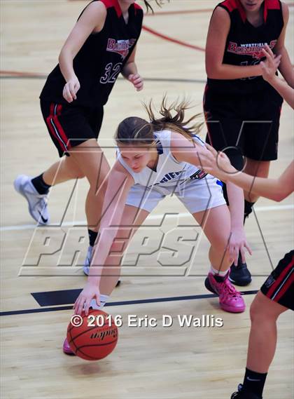 Thumbnail 2 in Westfield @ West Springfield photogallery.
