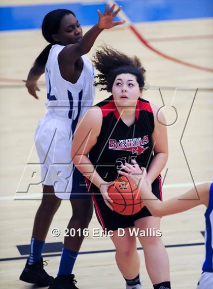 Thumbnail 1 in Westfield @ West Springfield photogallery.