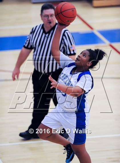 Thumbnail 3 in Westfield @ West Springfield photogallery.