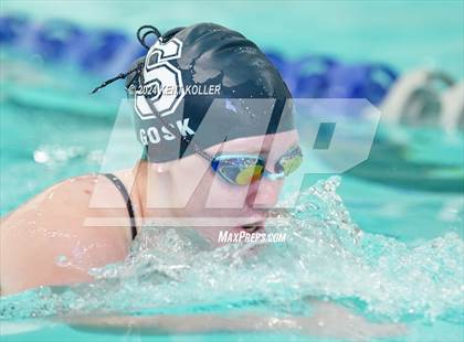 Thumbnail 1 in Sterling Heights Stevenson vs. Cousino (Titan Relays) photogallery.