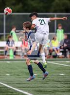 Photo from the gallery "Kentridge @ Olympia"