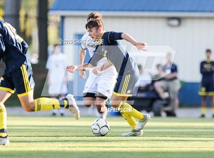 Thumbnail 3 in Webster Thomas @ Spencerport photogallery.