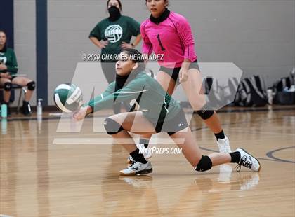 Thumbnail 2 in Porter vs Ellison [C.E.] photogallery.