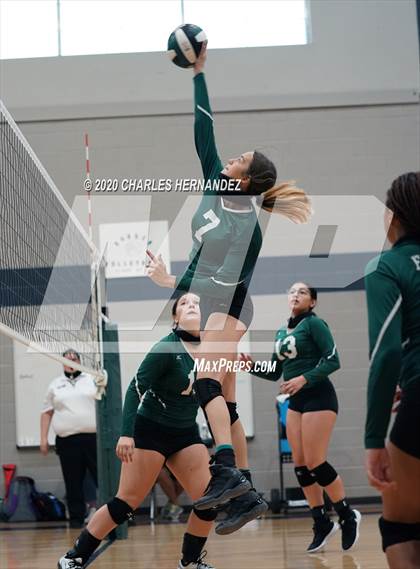 Thumbnail 1 in Porter vs Ellison [C.E.] photogallery.
