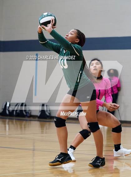 Thumbnail 2 in Porter vs Ellison [C.E.] photogallery.