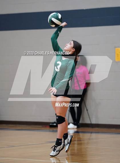 Thumbnail 3 in Porter vs Ellison [C.E.] photogallery.