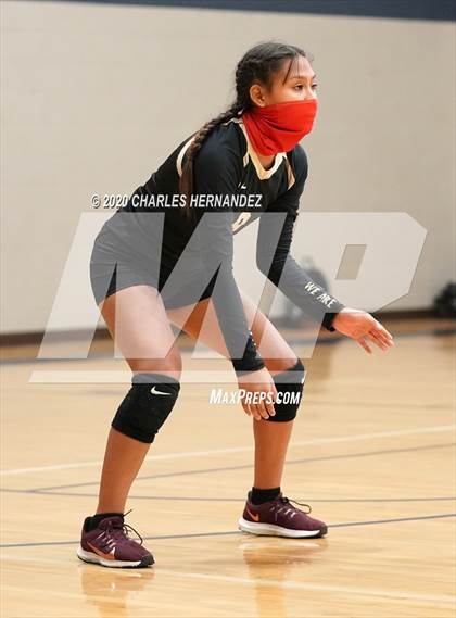 Thumbnail 2 in Porter vs Ellison [C.E.] photogallery.